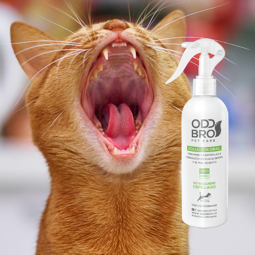 RENOVAPET BUCAL 250ML