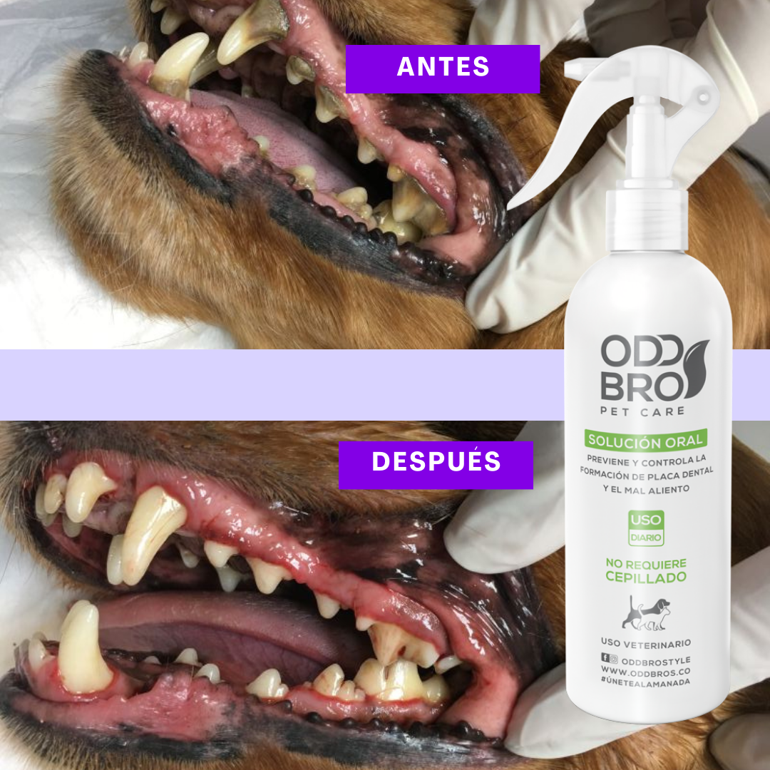 RENOVAPET BUCAL 250ML